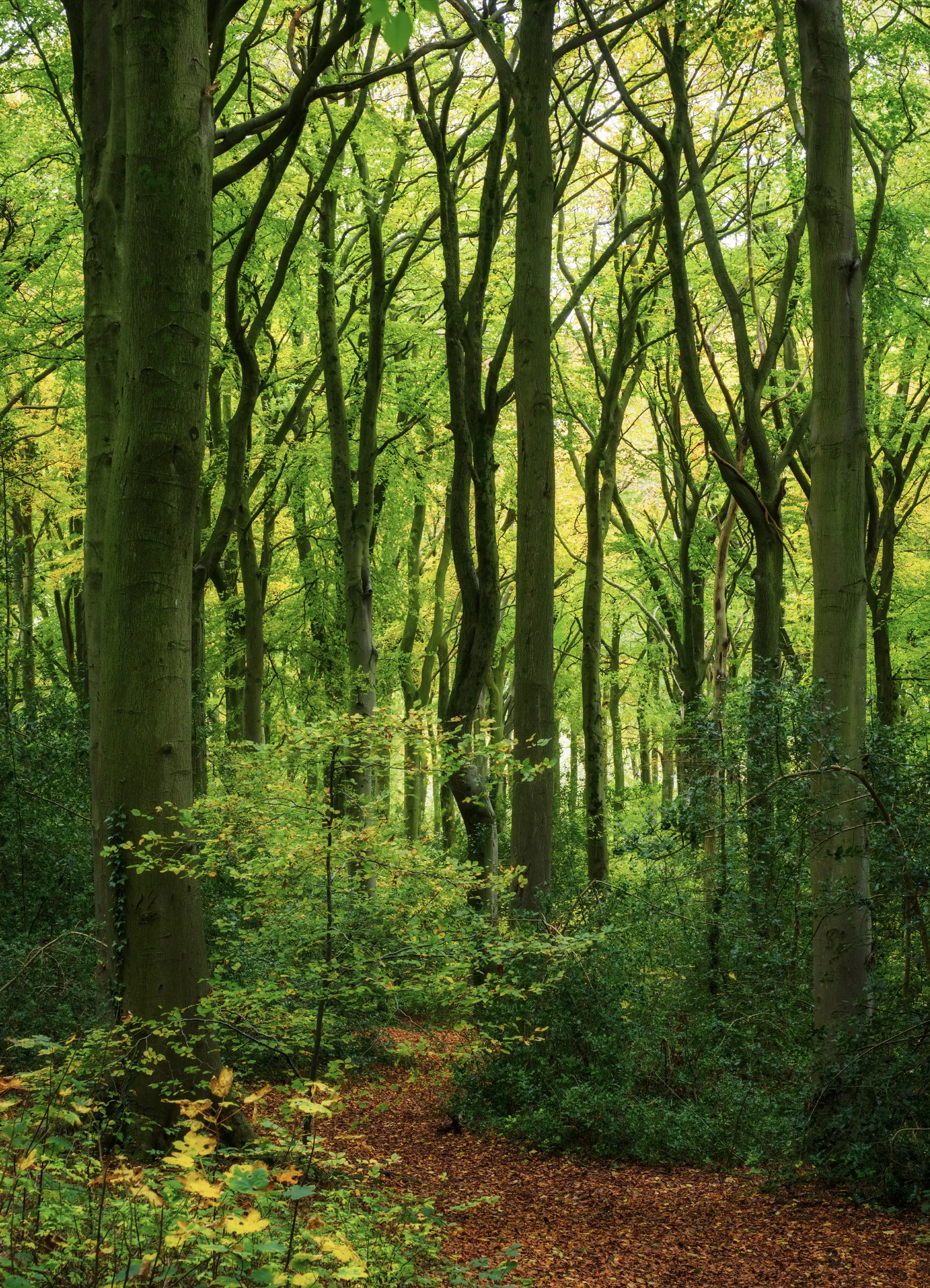 20190414-_4140050untitled-Edit copy